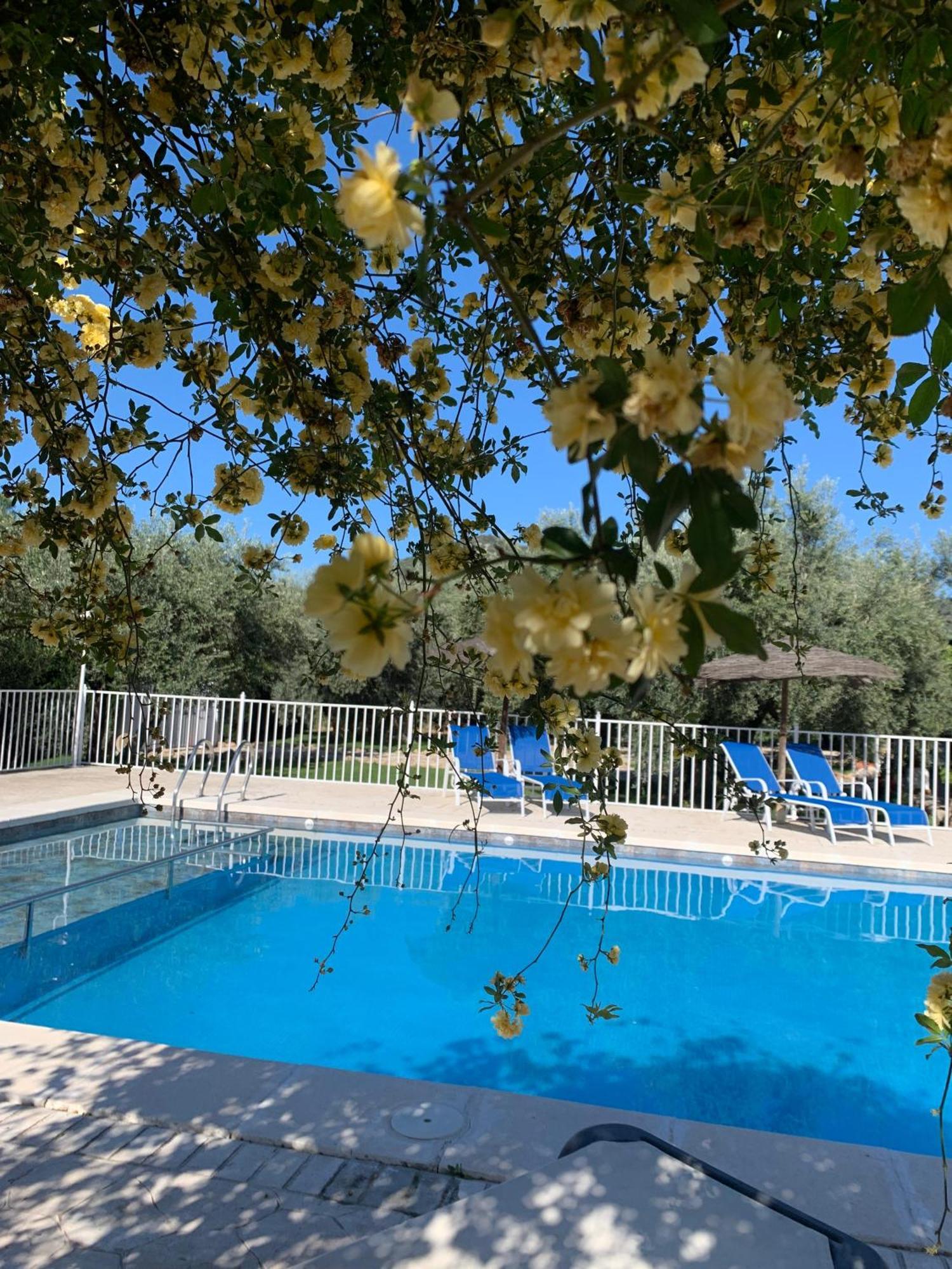 Casa De La Noria Villa Carcabuey Eksteriør bilde